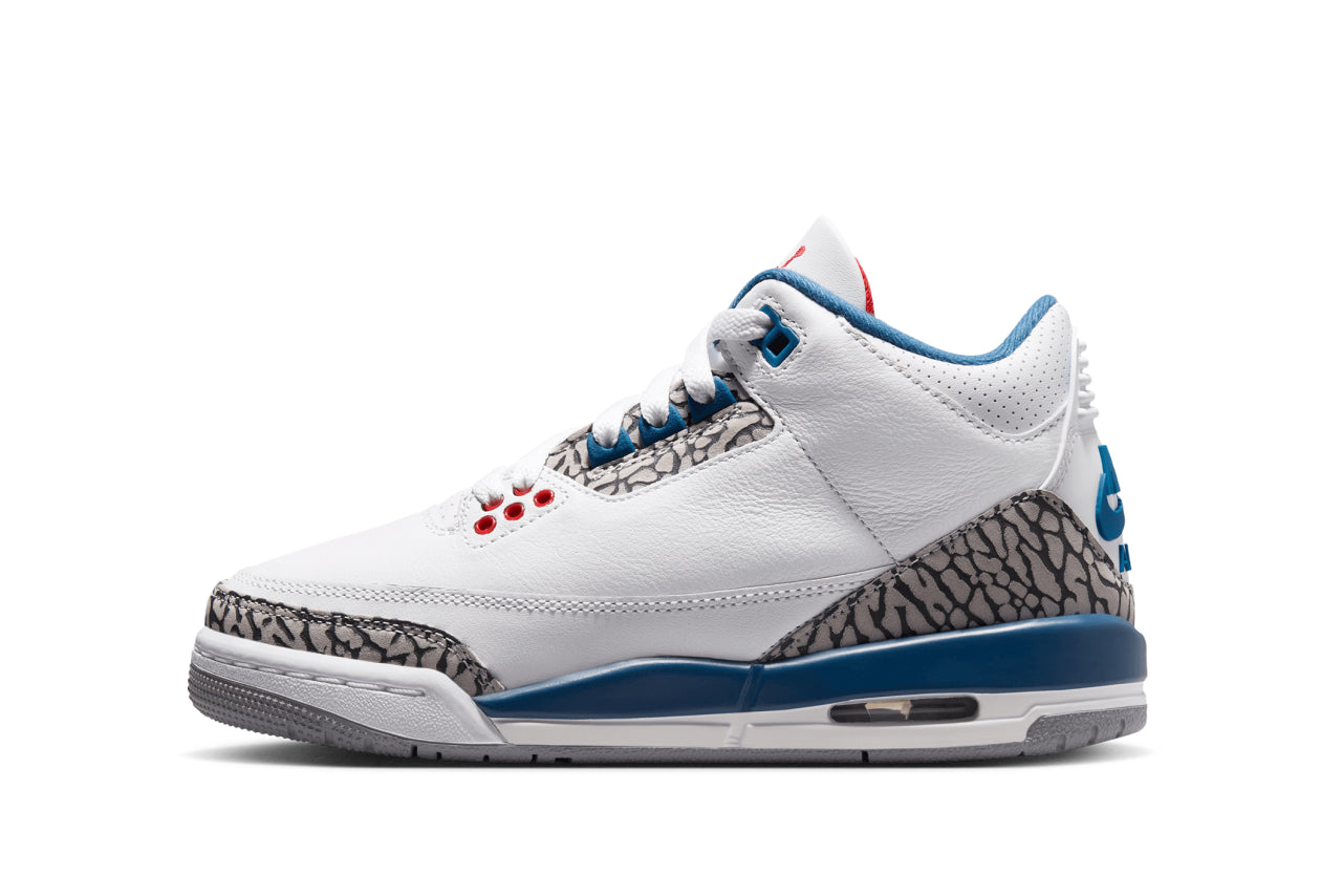 Air Jordan 3 Retro 'True Blue'
