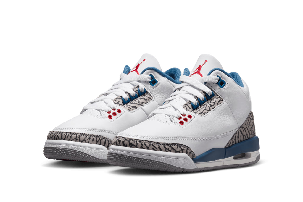Air Jordan 3 Retro 'True Blue'