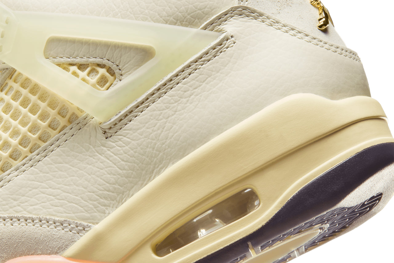 Air Jordan 4 Women's Retro 'Birds of Paradise'